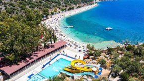 Alina Otel, Kas